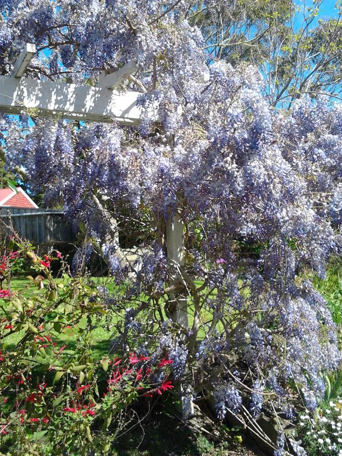 The Old Post Office Guesthouse B&B Paparoa Exterior foto